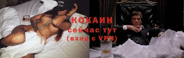 гидра Козловка