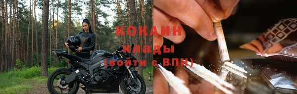 гидра Козловка